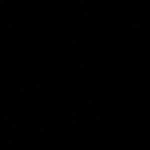 Meet your Posher, Lexi